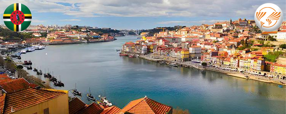 دیجیتال نومد ۲۰۲۵